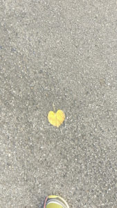 heart leaf notice what is right there